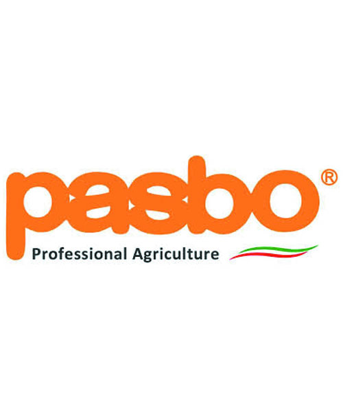 Pasbo