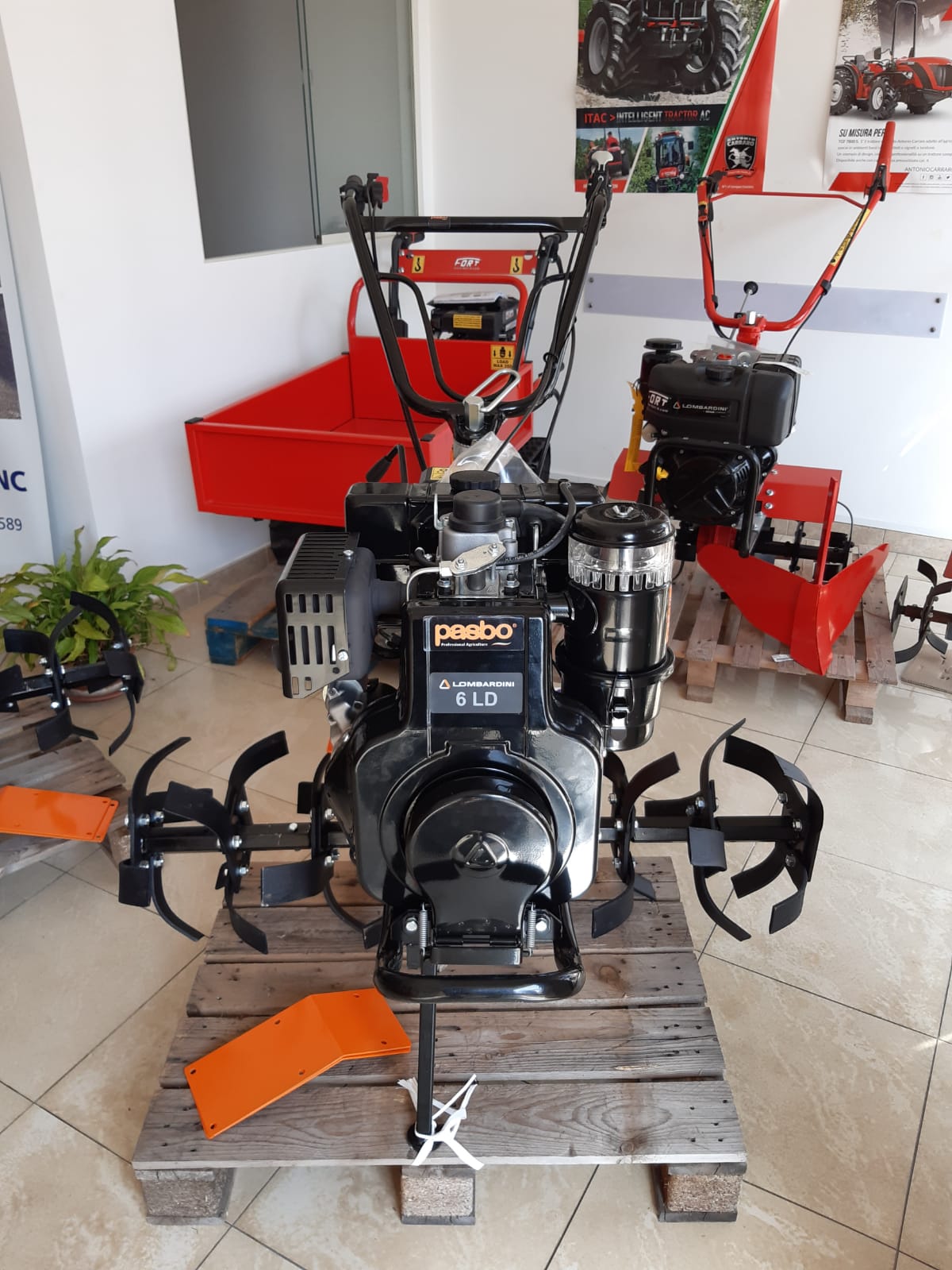 Vasta disponibilità di Motozappa Nuovi: - immagine 8