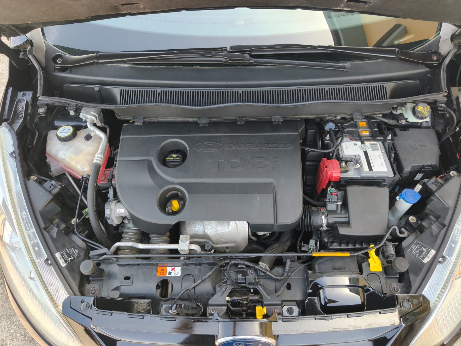 Ford B-MAX 1.5 TDCI Titanium - 2012 - immagine 4