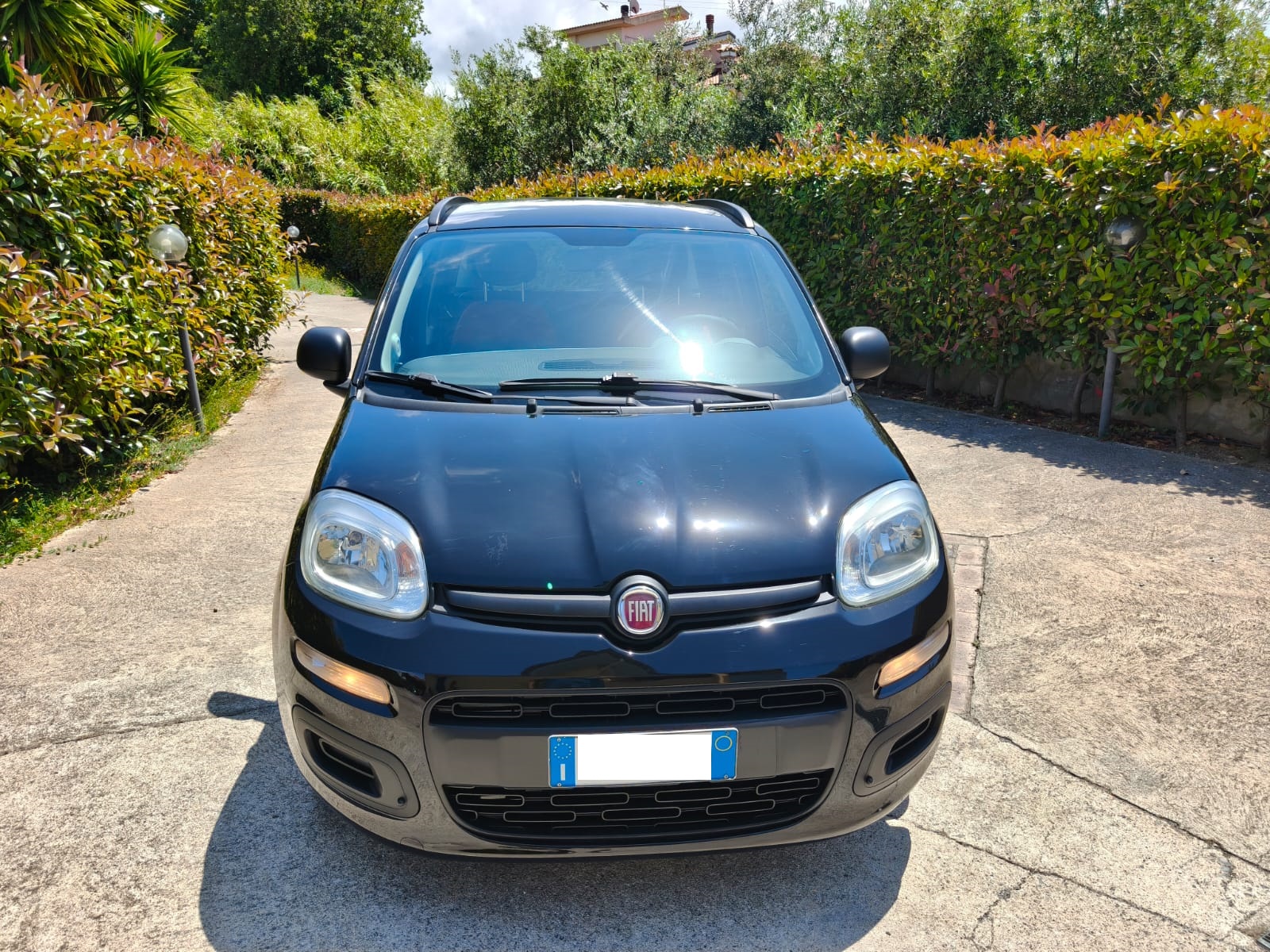 Fiat Panda 1.2 Benzina - 2015 - immagine 12
